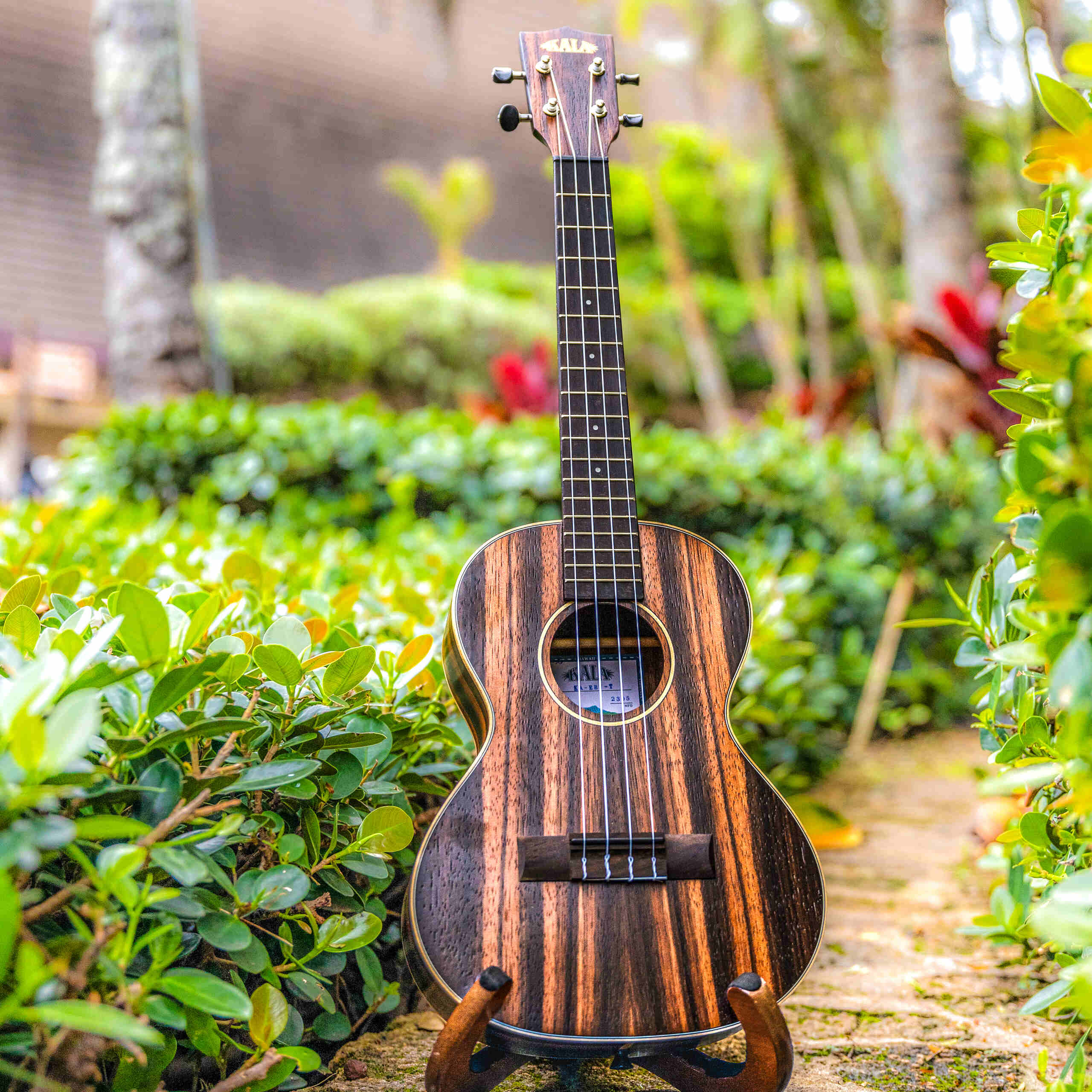 Kala Striped Ebony Tenor